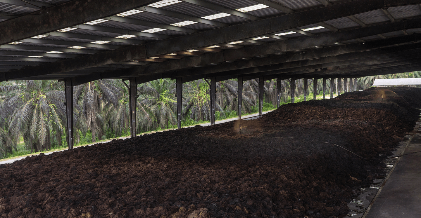 Substrate piles inside a covered AMR shed adjacent to a plantation